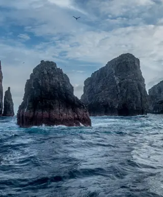 Tauchparadiese Malpelo & Coiba in Kolumbien